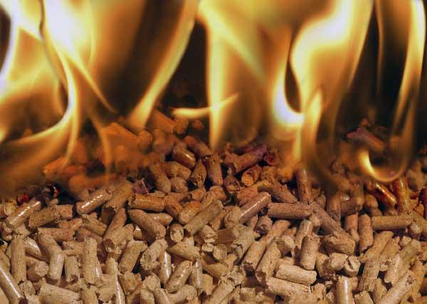 Los pelets son un combustible procedente de la biomasa
