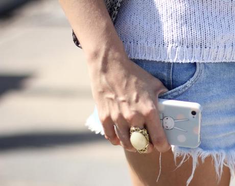 iPhone case, blogger, Mes Voyages à Paris, Iconemesis