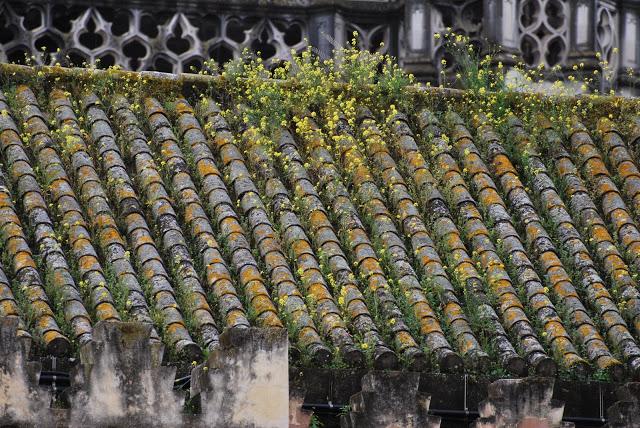 La historia permanece subsumida en las inadvertidas a veces creaciones de Arte.