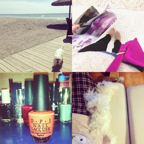 THIS WEEK IN INSTAGRAM