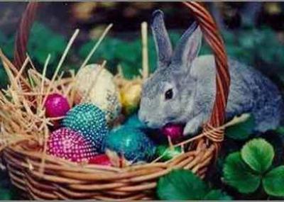 conejo con huevos La Pascua ha llegado a Private Outlet