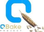 proyecto Qbake celebró nueva reunión Atenas aportaron detalles para curso Salamanca