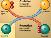 Oxidación reducción