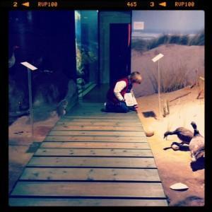 Semana Santa: Programación Museo Carreo y Museo Marítimo del Cantabrico