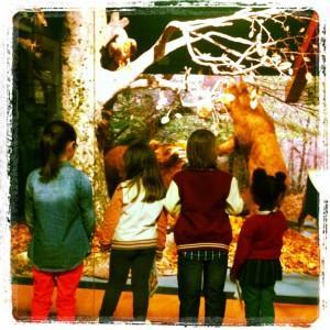 Semana Santa: Programación Museo Carreo y Museo Marítimo del Cantabrico