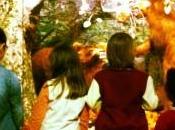 Semana Santa: Programación Museo Carreo Marítimo Cantabrico