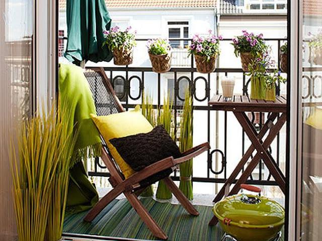 UN OASIS EN EL BALCON