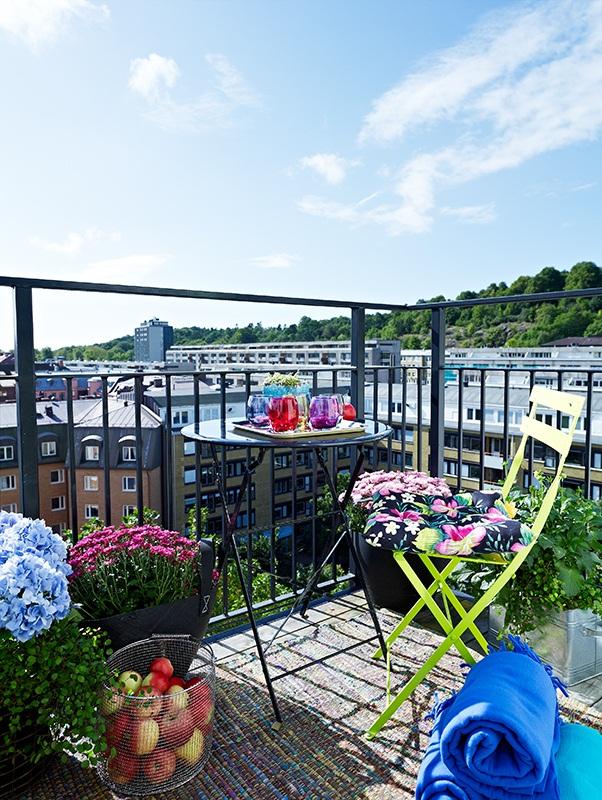 UN OASIS EN EL BALCON