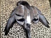 salir casa esta mañana, esto vi...