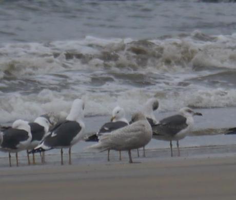 Por aquí siguen, y algo de paso