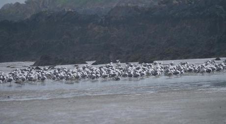 Por aquí siguen, y algo de paso