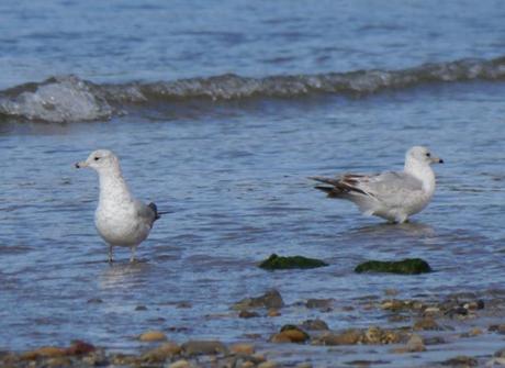 Por aquí siguen, y algo de paso