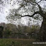 park_london_tierrasinlimites