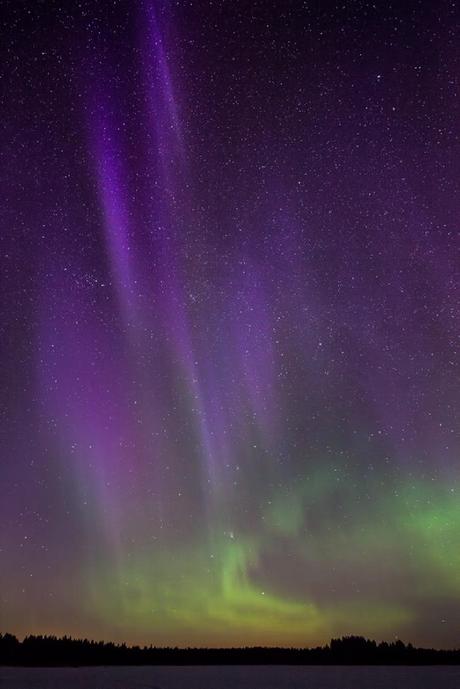 Jorma-Hevonkoski-IMG_7800-copy_1364639628_lg