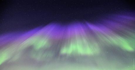 Pavel-Kantsurov-2013-03-30-001_1364632006_lg