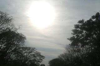 Yo no puedo callar...