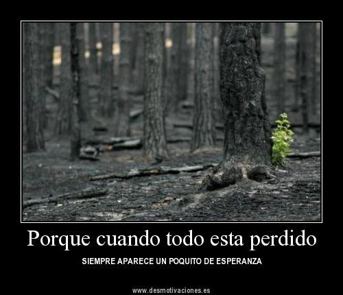 LA REFLEXIÓN DEL DÍA. POR DANIEL OLIVERA