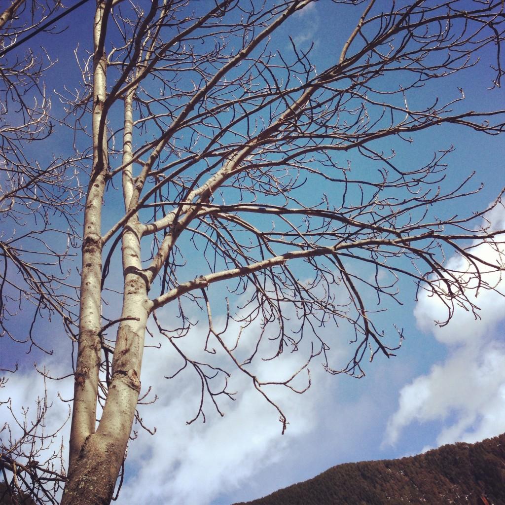 Fin de semana en la nieve