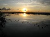 Padre: Versos poeta neibero Wilson Acosta.