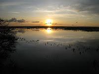 A mi Padre: Versos del poeta neibero Wilson Acosta.