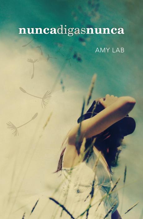 Nunca digas nunca - Amy Lab