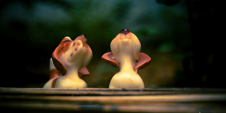 El reto de ampliar tu círculo social amigos