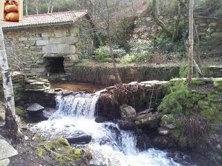 232.- Monterrei, Verín, Couso Galán y Agolada