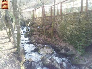 232.- Monterrei, Verín, Couso Galán y Agolada