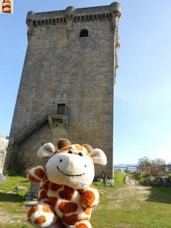 232.- Monterrei, Verín, Couso Galán y Agolada