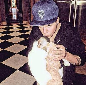 Bieber: entre monos, líos y críticas