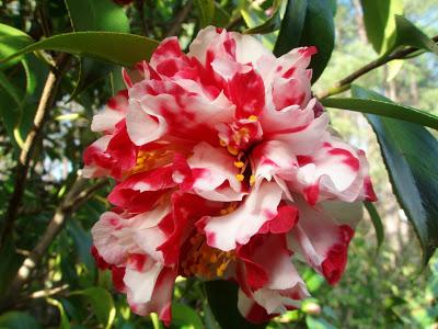 Nos visitan de Reino Unido y de Alemania.