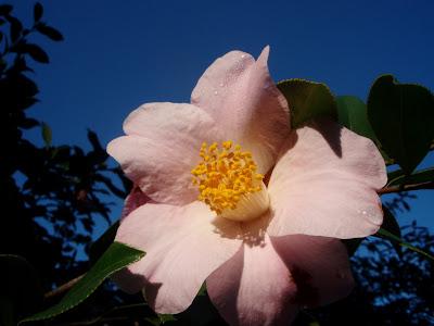 Nos visitan de Reino Unido y de Alemania.