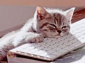 Deberes superados: novedades blog