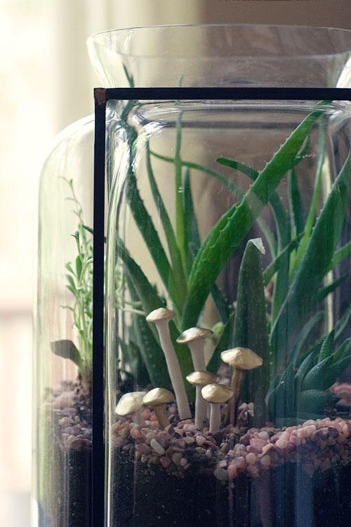 DIY TERRARIO CON SETAS
