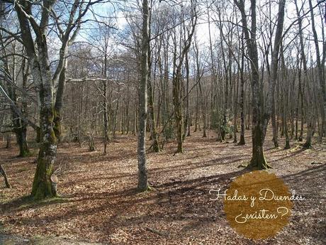 Dia perfecto para...