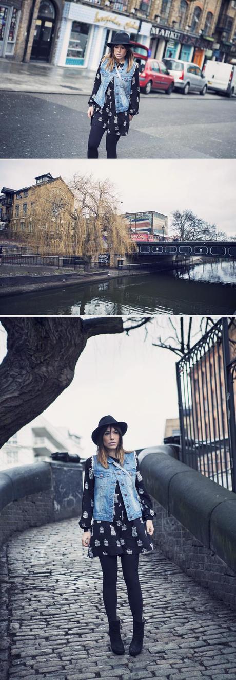 bird cages in camden