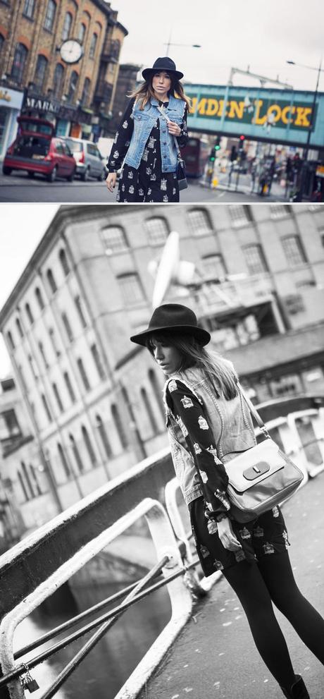 bird cages in camden