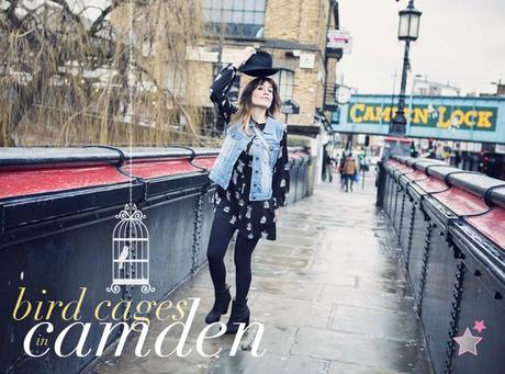 bird cages in camden