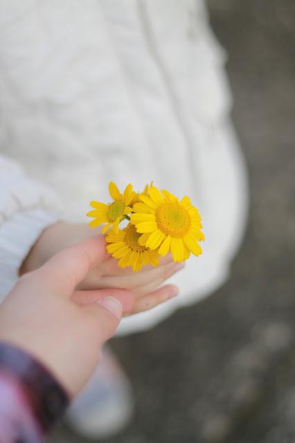 Ya llego la Primavera...ya estamos en Abril