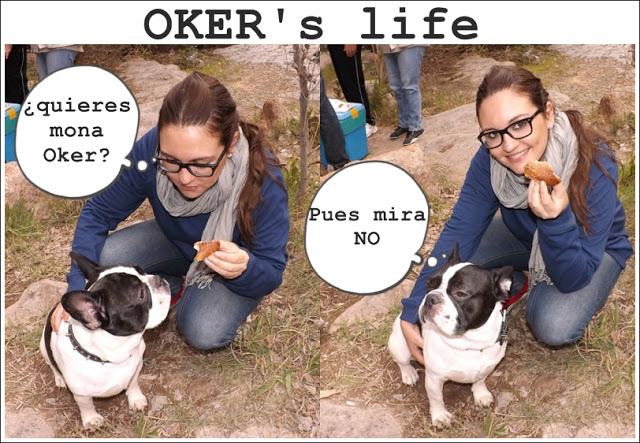 Oker's Life: LA MONA DE PASCUA