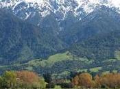 Sobre reformas económicas Nueva Zelanda