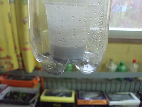 UN DESTILADOR DE AGUA UN DESTILADOR DE AGUA