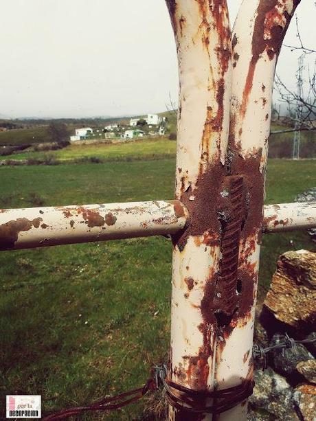 ¡¡VAYA SEMANITA SANTA!!