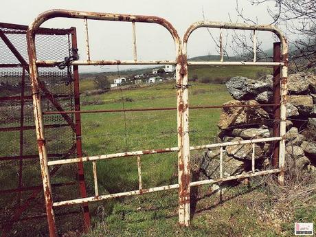 ¡¡VAYA SEMANITA SANTA!!