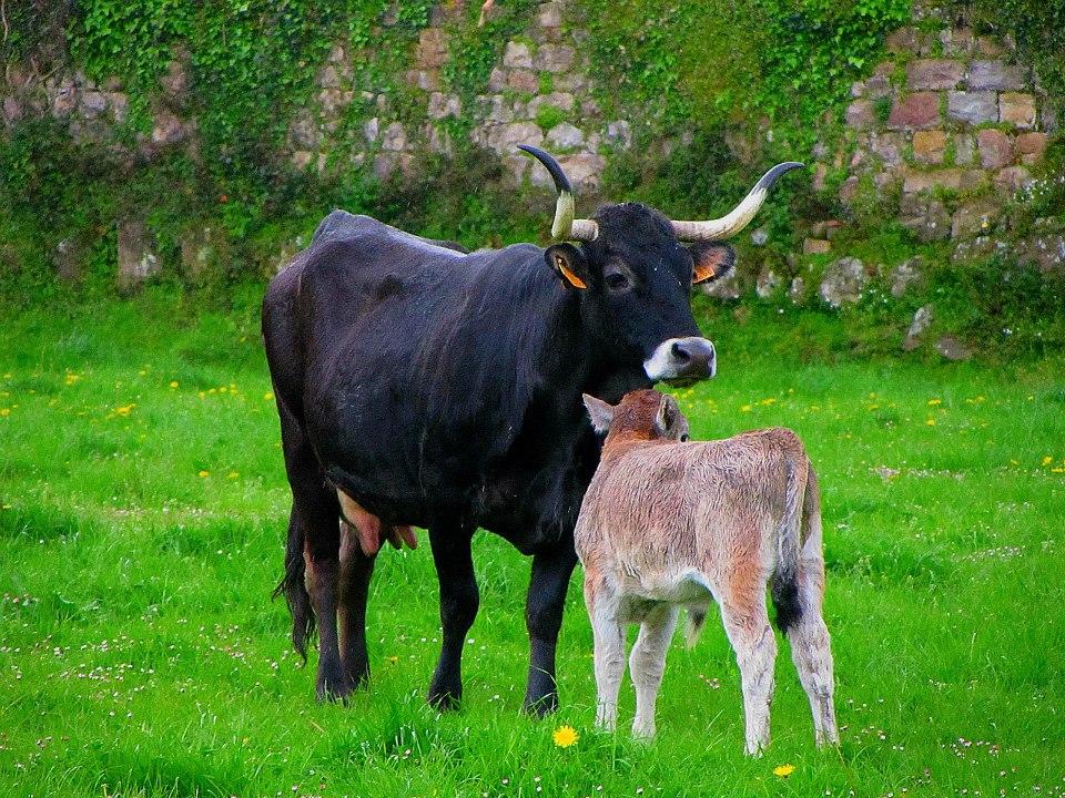 “Aquí empieza esa cosa inmensa e indestructible que llamamos España”