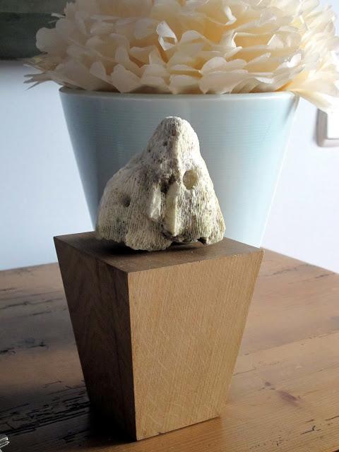 Cosas de estos días......