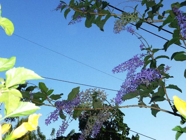 ¡Semana Santa 2013 en Nicaragua!