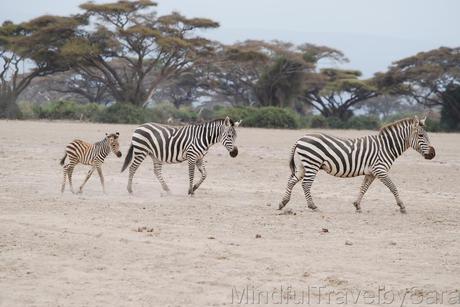 Itinerario y consejos para viajar a Kenia