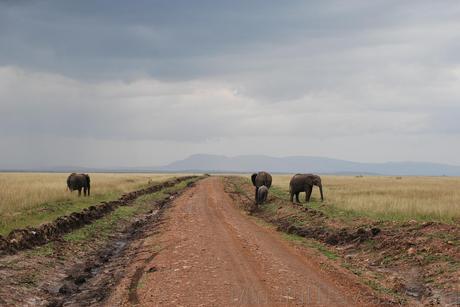 Itinerario y consejos para viajar a Kenia