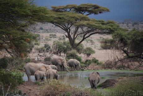 Itinerario y consejos para viajar a Kenia